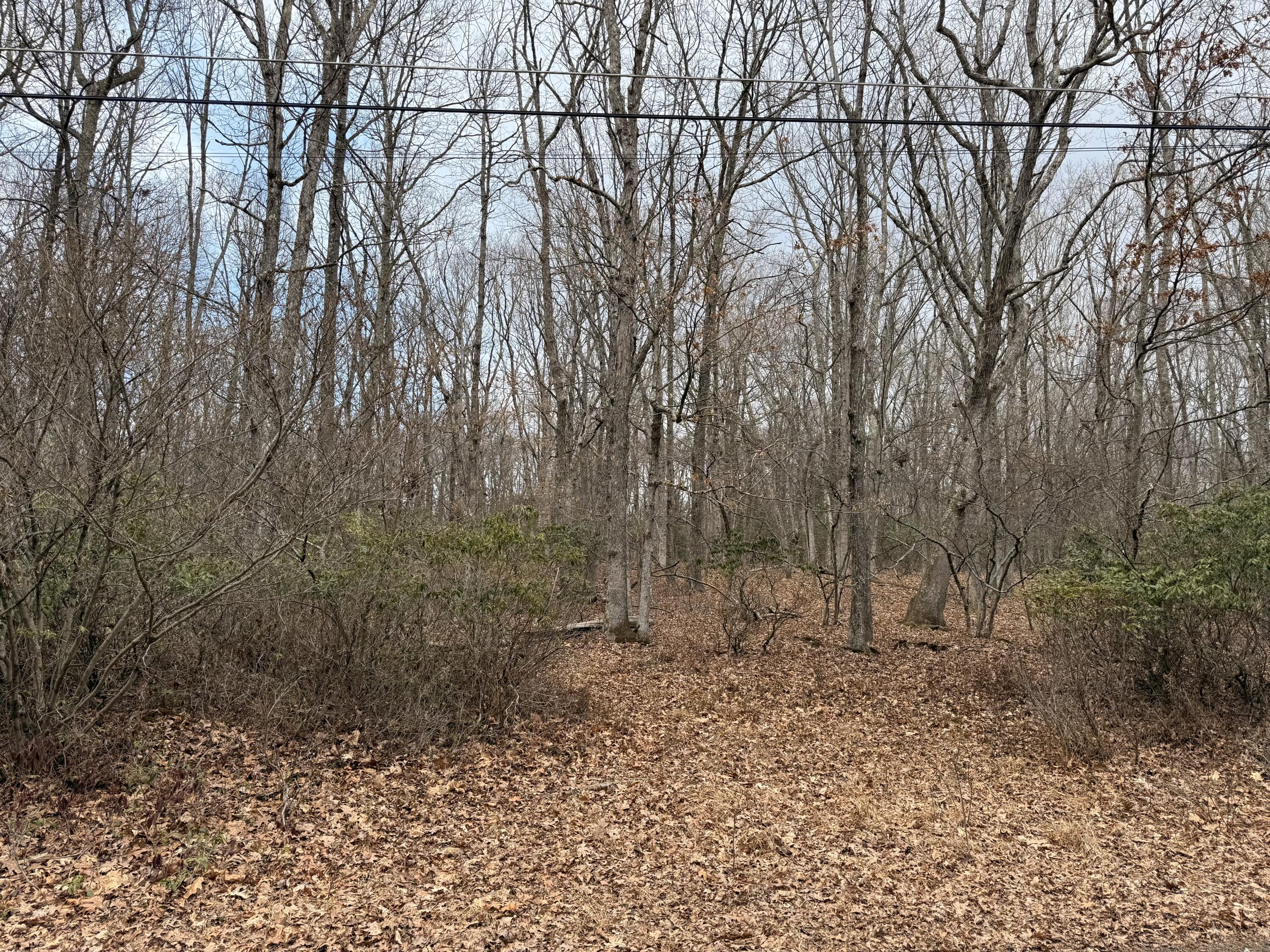 Blackberry Lane, Jim Thorpe, Pennsylvania image 3