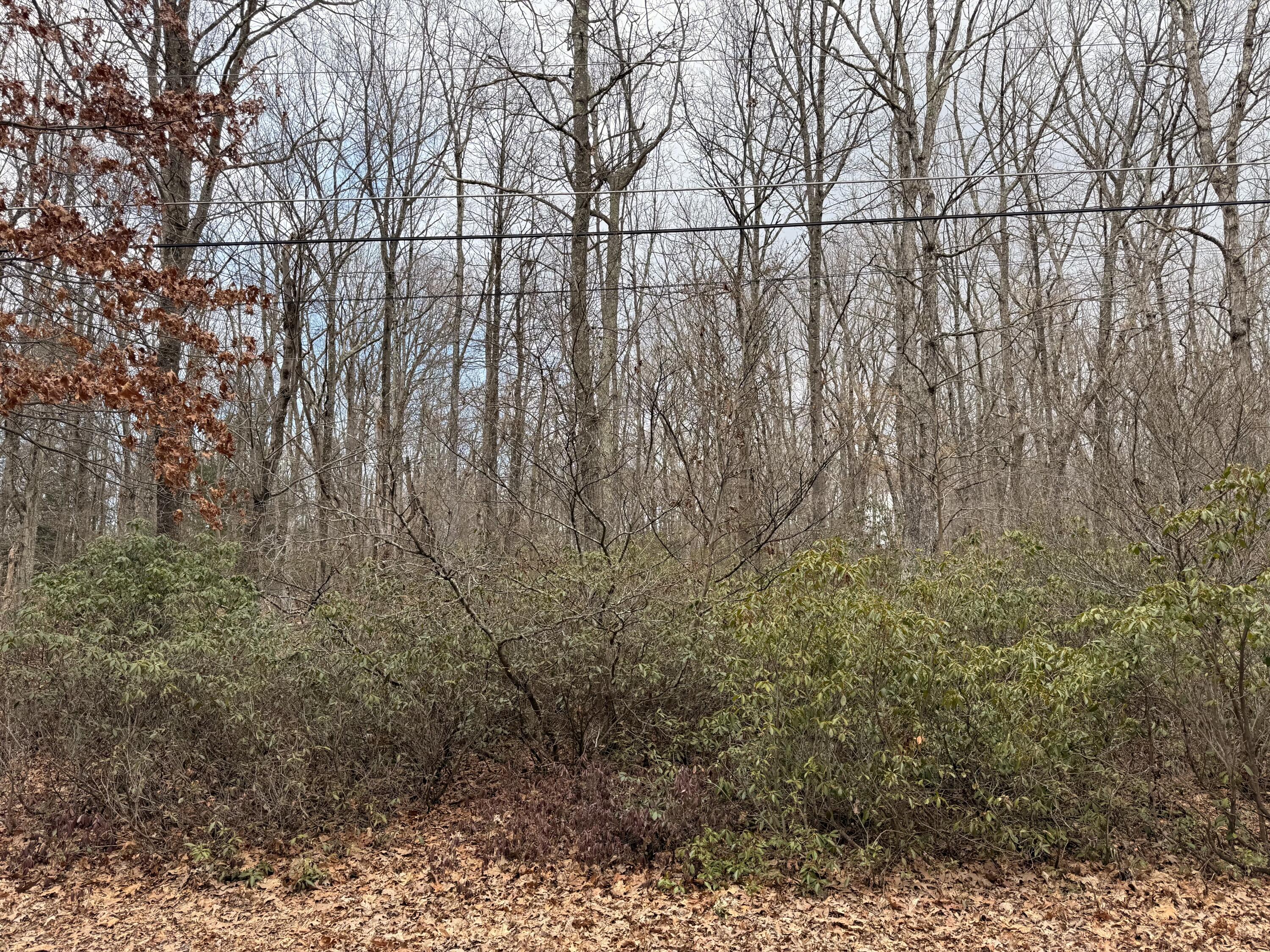 Blackberry Lane, Jim Thorpe, Pennsylvania image 2