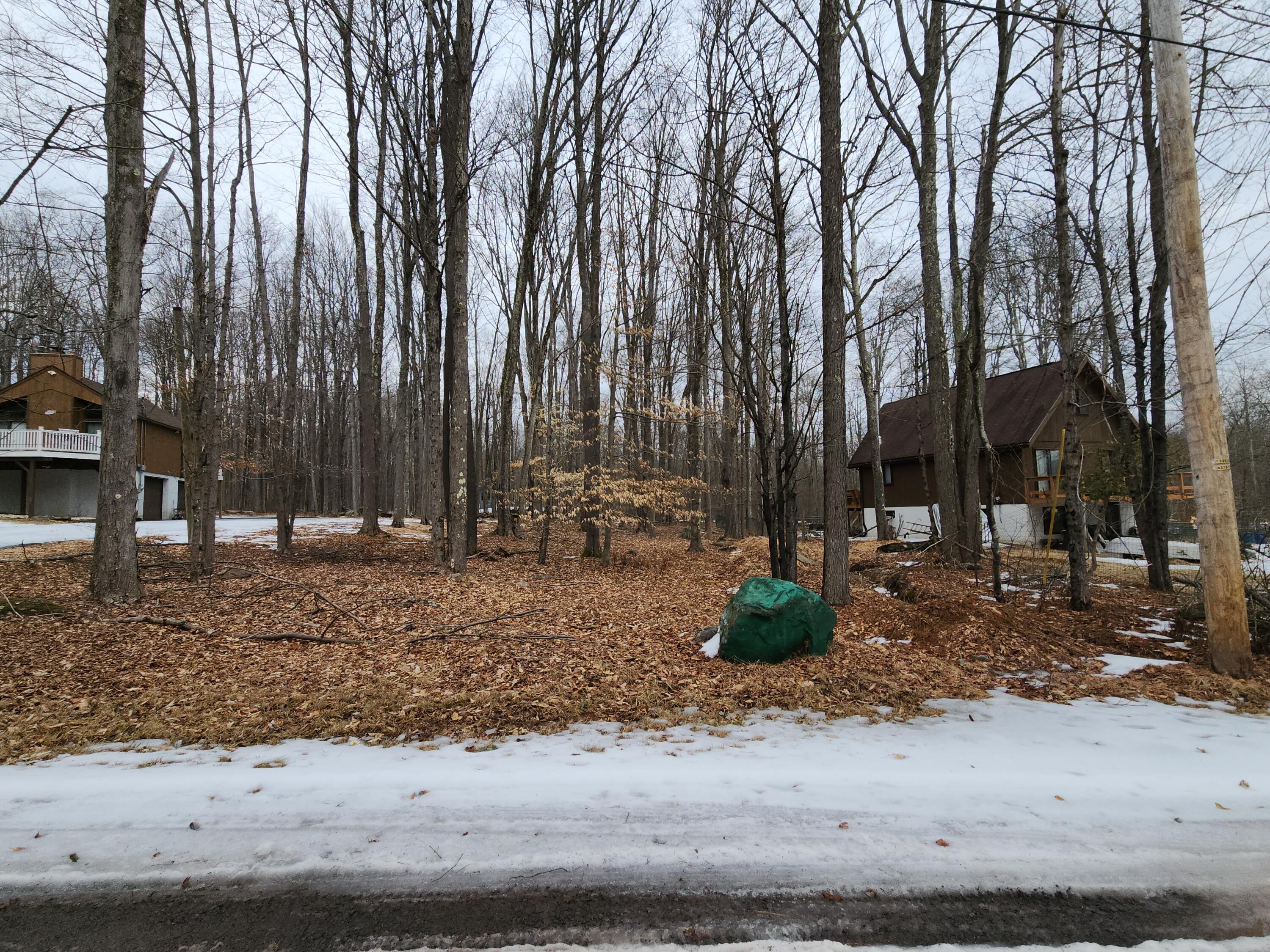 107 Mineola Circle, Pocono Lake, Pennsylvania image 4