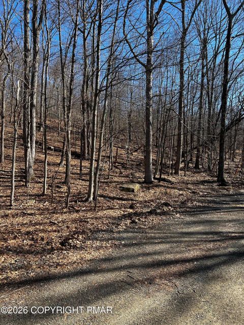 Vacant Land For Sale - Berry Lane<br/> Monroe County, Cresco, PA 18326