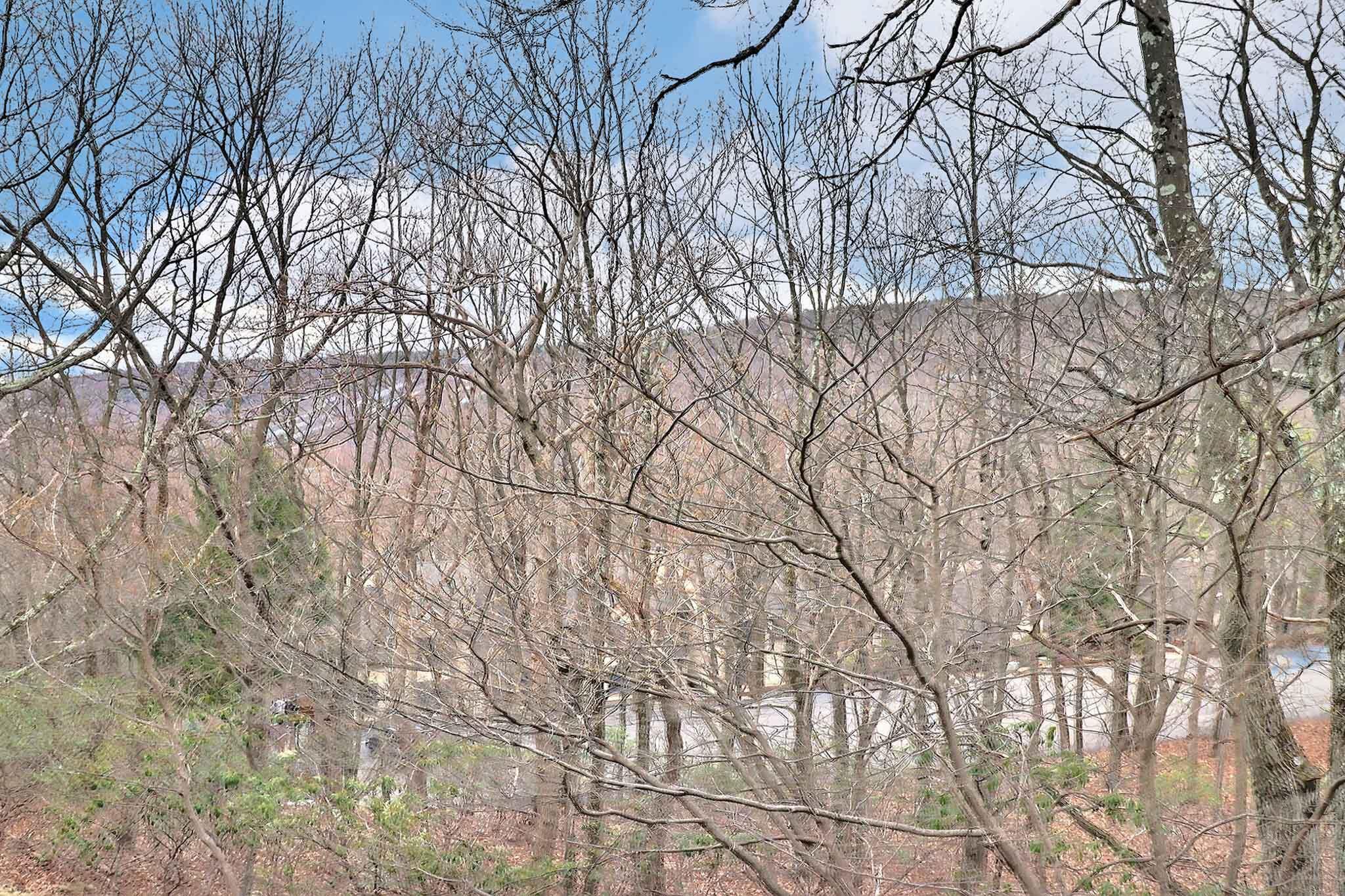 429 Birch Court, Tannersville, Pennsylvania image 18