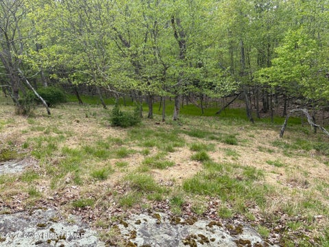 Vacant Land For Sale - 260 Bristol Cir E 260 Circle<br/> East Stroudsburg, PA 18302