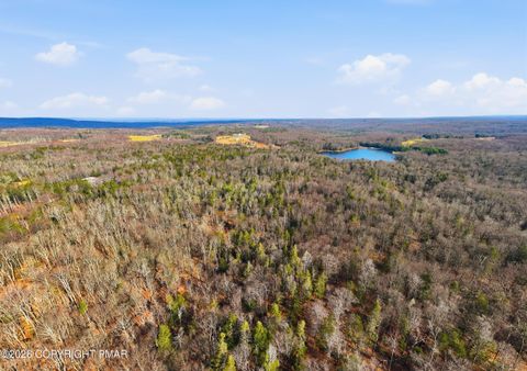 Vacant Land For Sale - Stony Lonesome Road<br/> Newfoundland, PA 18445