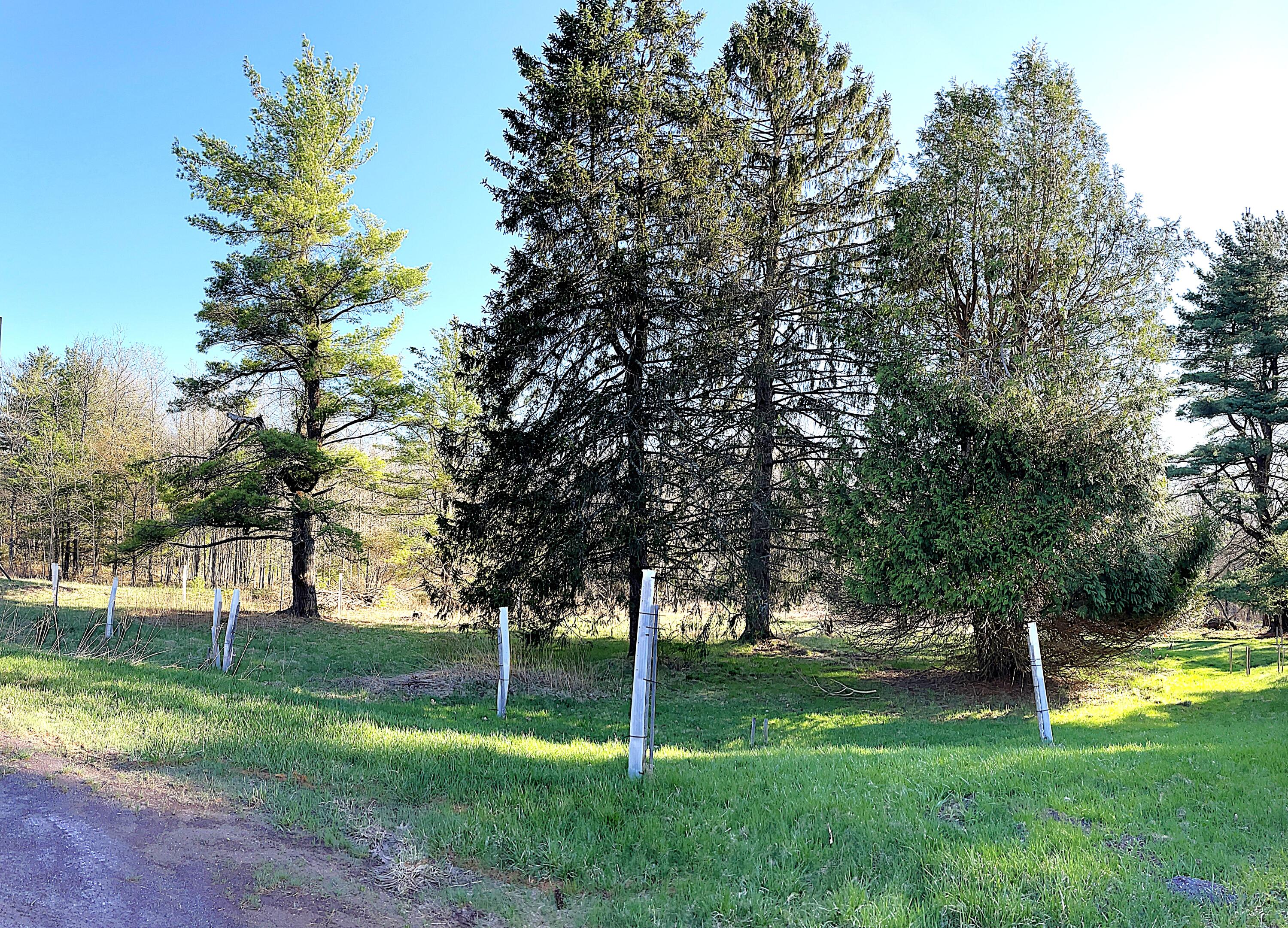 247 Buck Boulevard, White Haven, Pennsylvania image 6