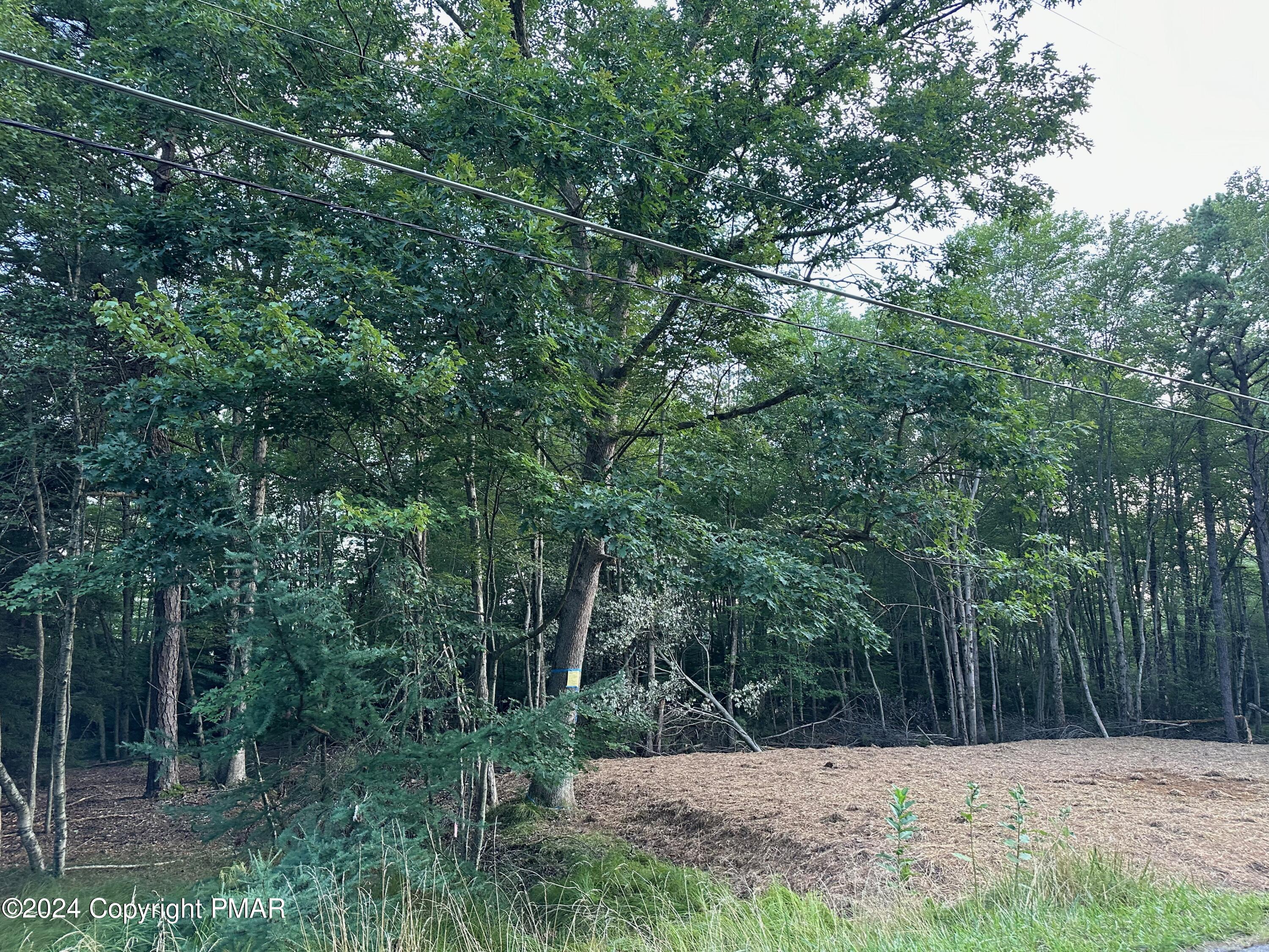 Lot 102 Crescent Way, Albrightsville, Pennsylvania image 5