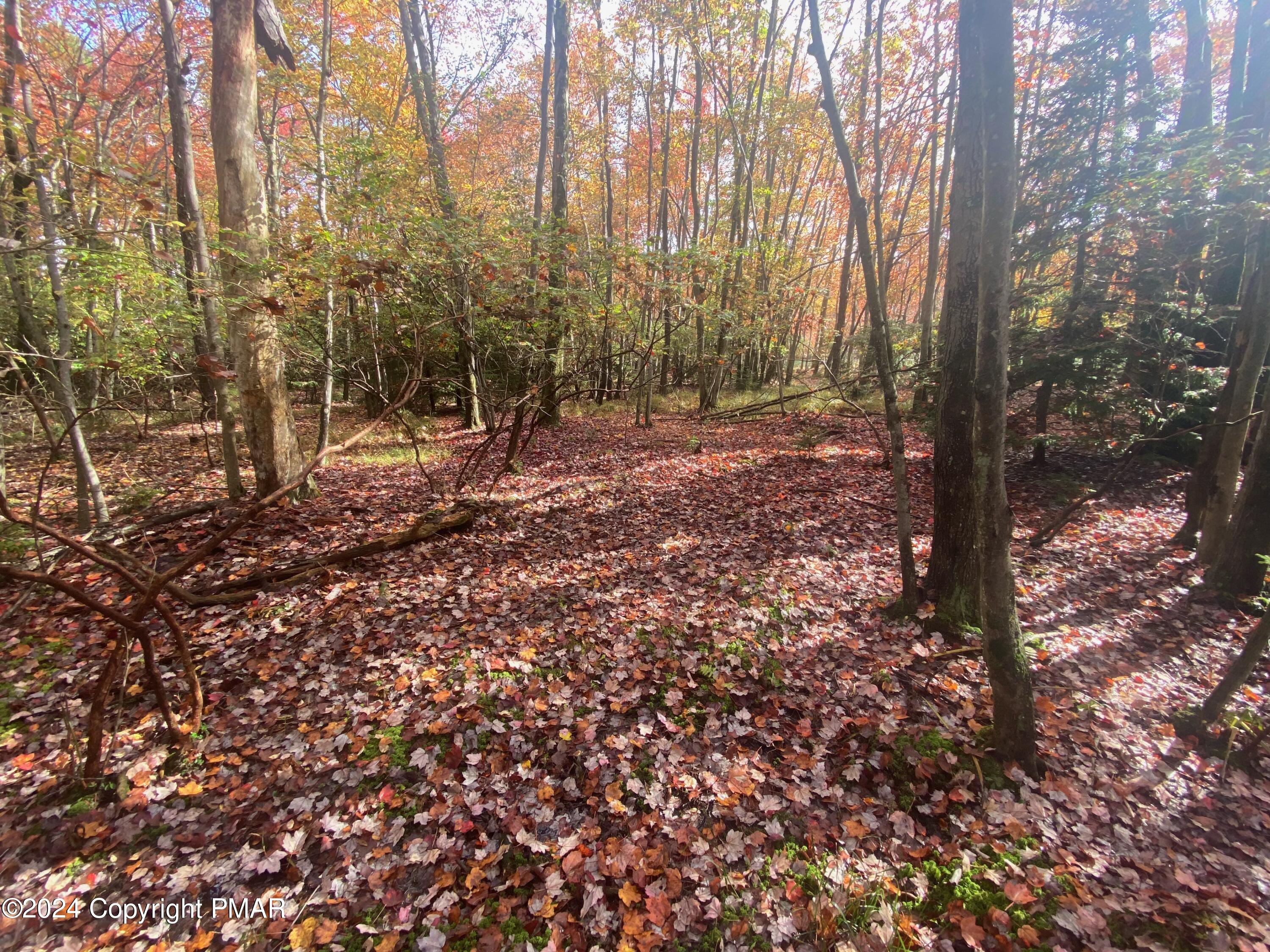 Lot 102 Crescent Way, Albrightsville, Pennsylvania image 1