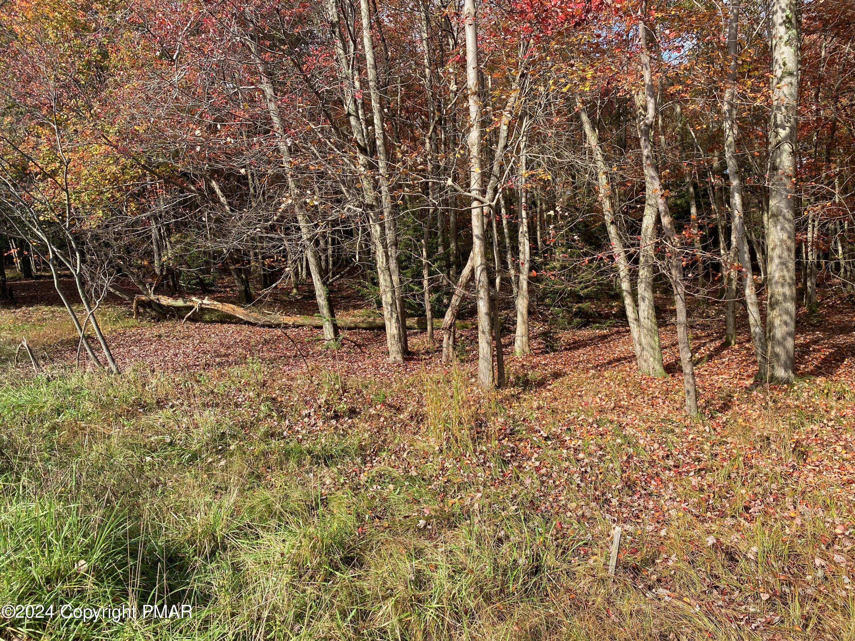 Lot 102 Crescent Way, Albrightsville, Pennsylvania image 8