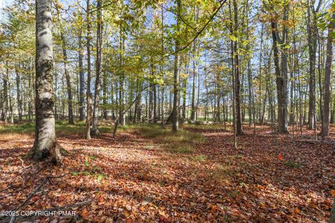 Vacant Land For Sale - Cygnus Road<br/> Lake Ariel, PA 18436