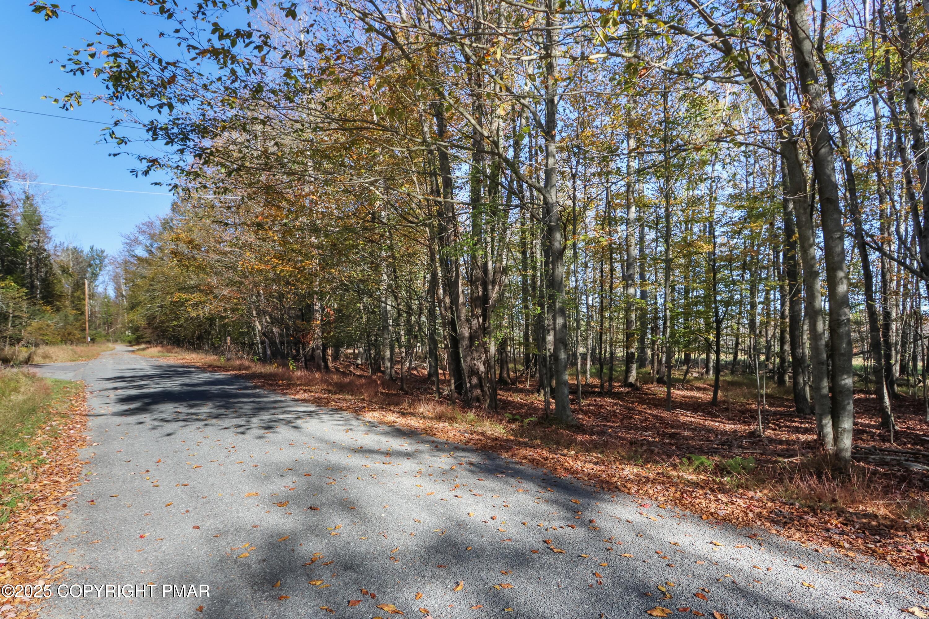Cygnus Road