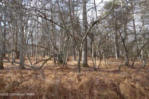 D1922 Old Stage Road Albrightsville PA 18210