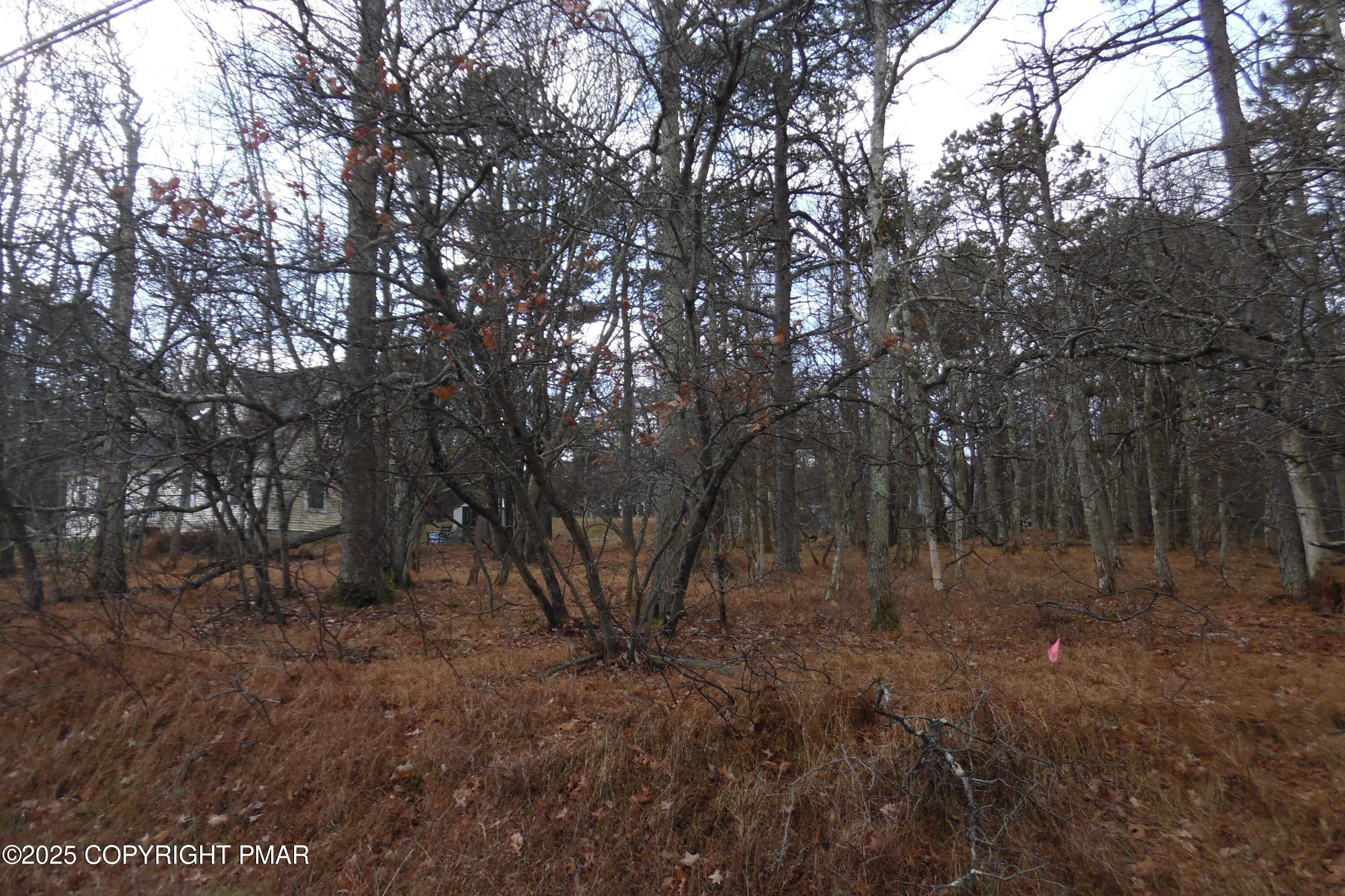 D1922 Old Stage Road