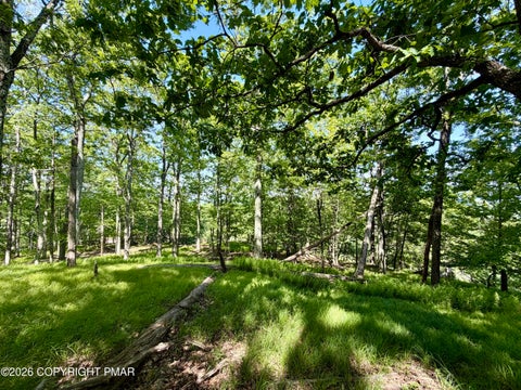 Vacant Land For Sale - Hillary Drive<br/> White Haven, PA 18661