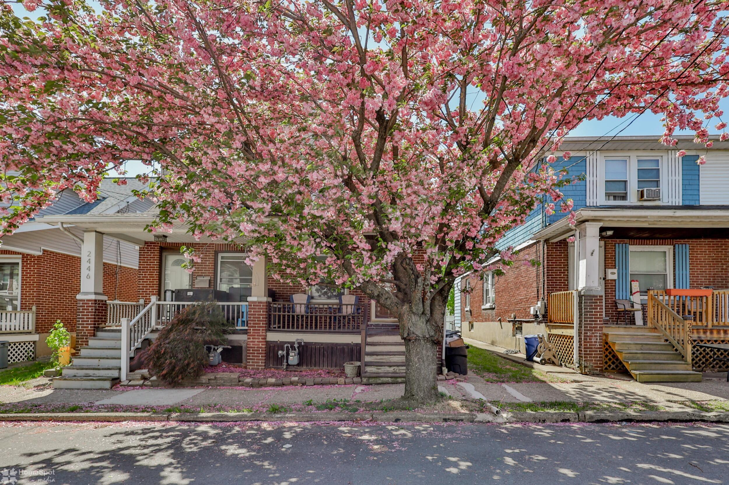 2448 Birch Street, Easton, Pennsylvania image 2