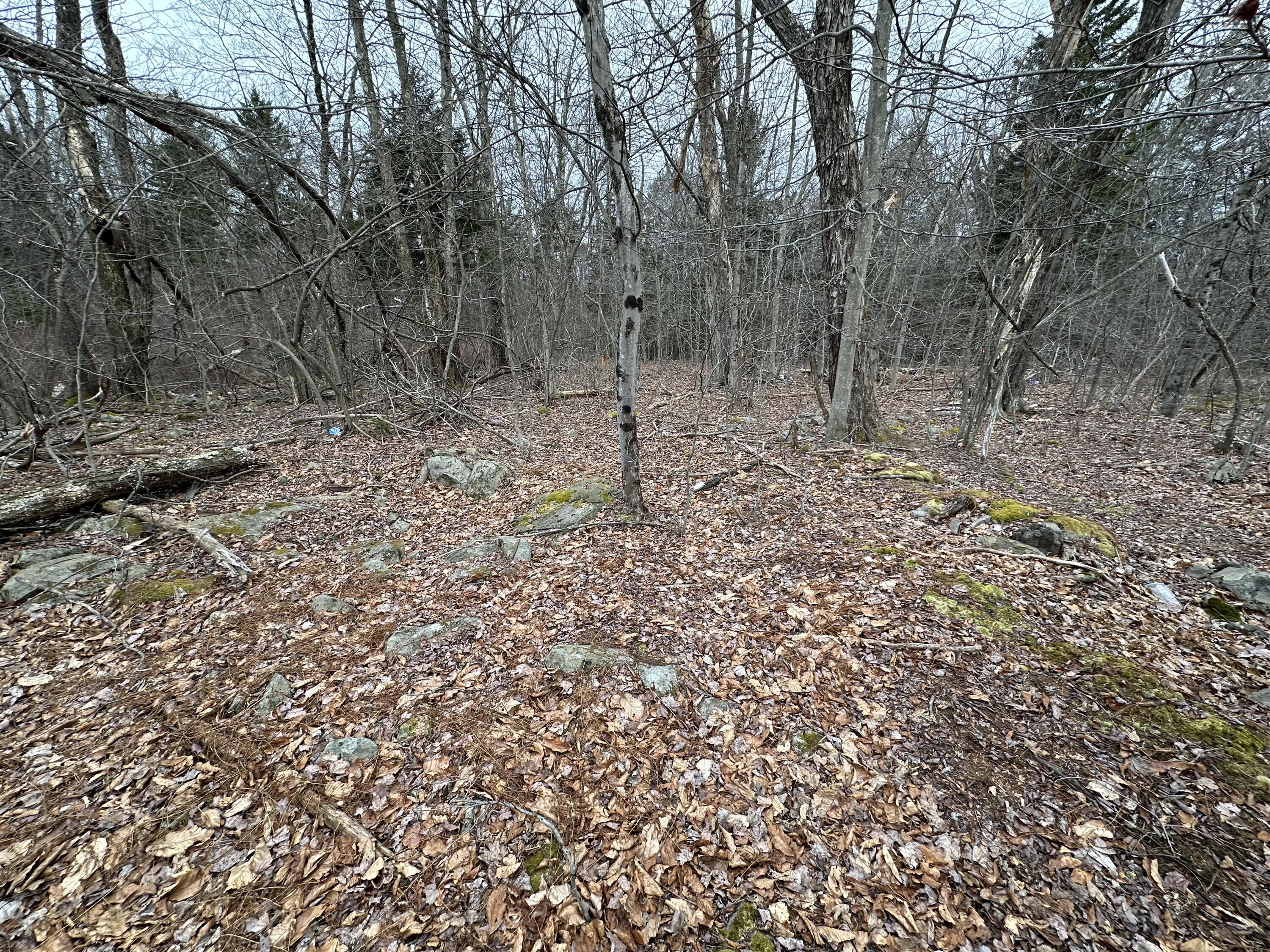 56 B June Dr Dr, Tobyhanna, Pennsylvania image 1