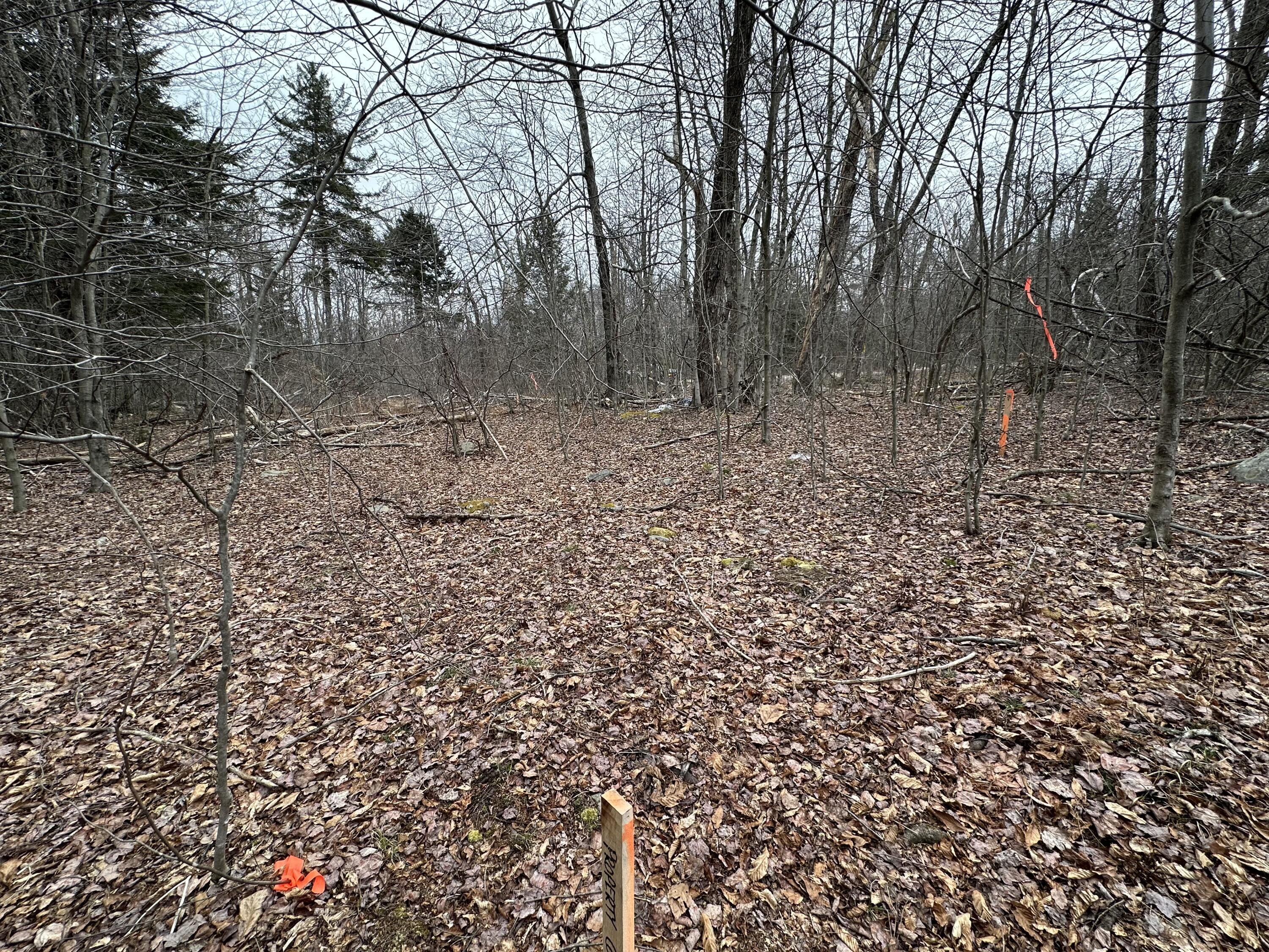 56 B June Dr Dr, Tobyhanna, Pennsylvania image 6