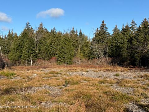 12 Laurel View Ln Tobyhanna PA 18466