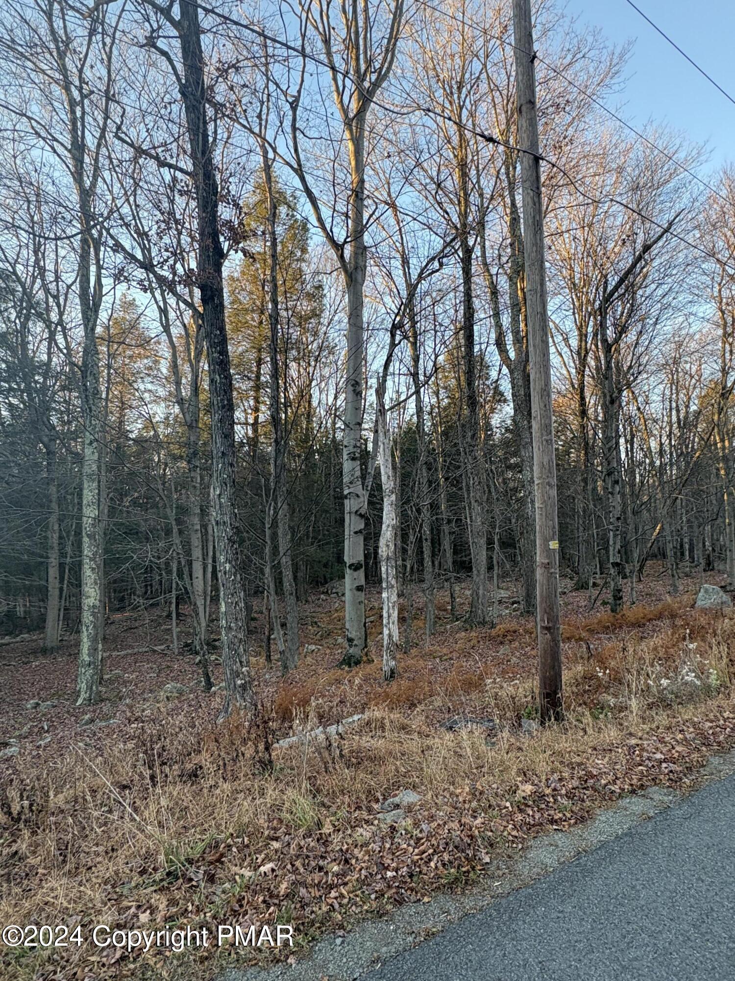 23 Hemlock Lane, Gouldsboro, Pennsylvania image 3
