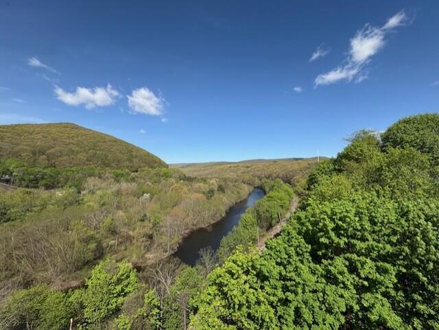 14 W Front Street, Jim Thorpe, Pennsylvania image 27