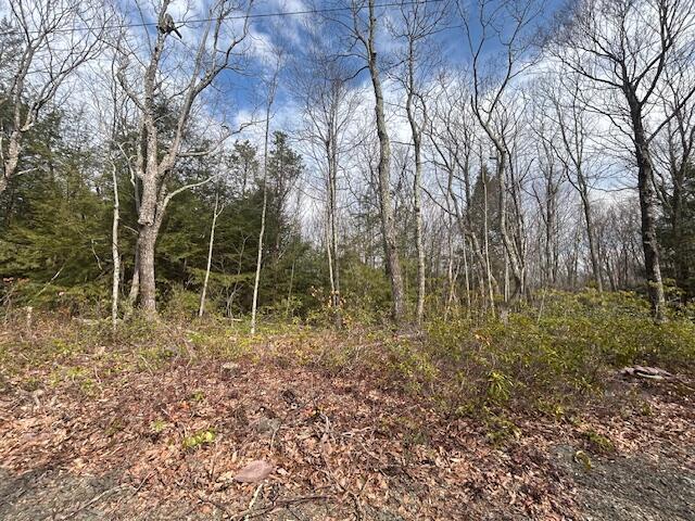 Lot A339 Aspen Drive, Jim Thorpe, Pennsylvania image 1