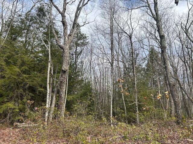 Lot A339 Aspen Drive, Jim Thorpe, Pennsylvania image 5