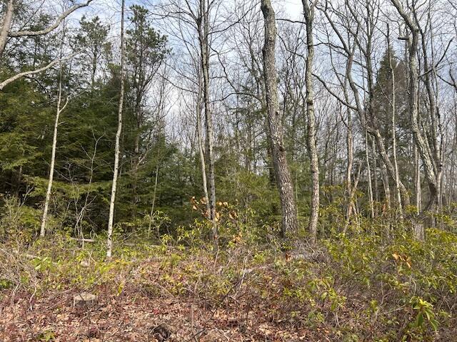 Lot A339 Aspen Drive, Jim Thorpe, Pennsylvania image 6