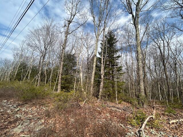 Lot A339 Aspen Drive, Jim Thorpe, Pennsylvania image 7