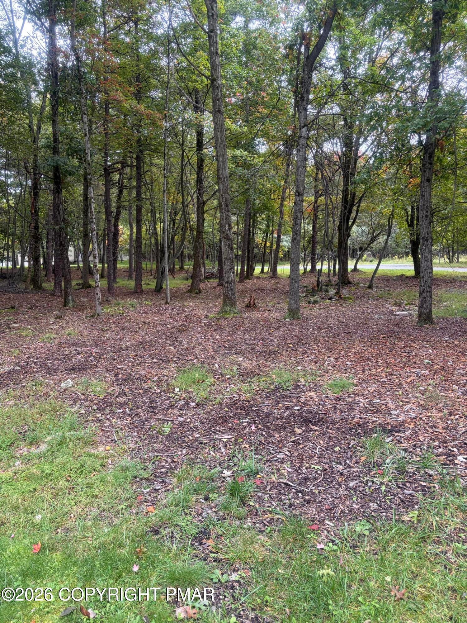 910/911 Willow Grove Rd Road