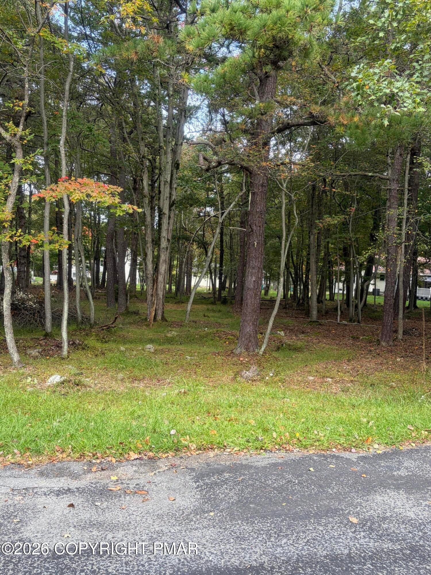 910/911 Willow Grove Rd Road