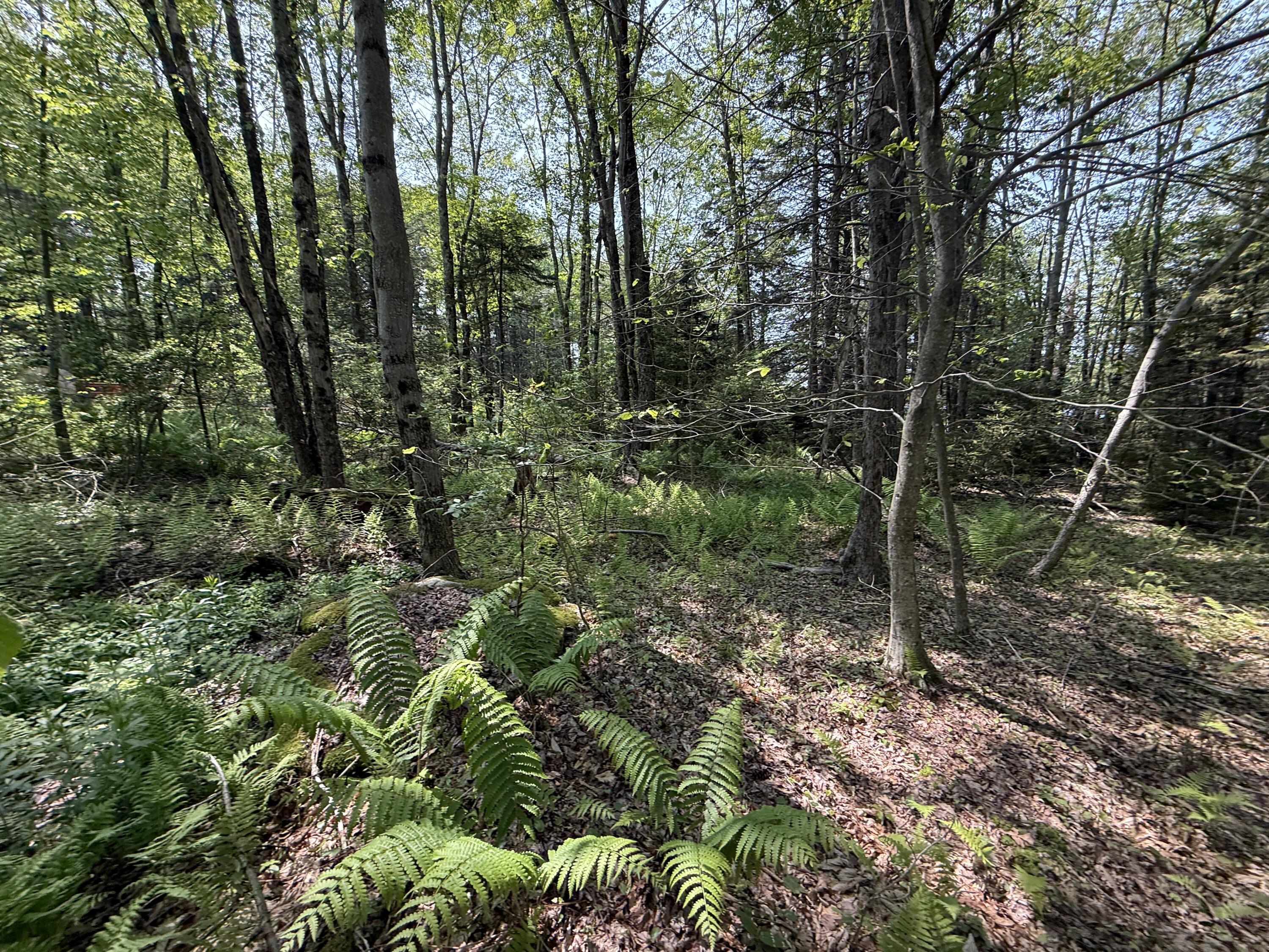 14 Greenwood Drive, Blakeslee, Pennsylvania image 18