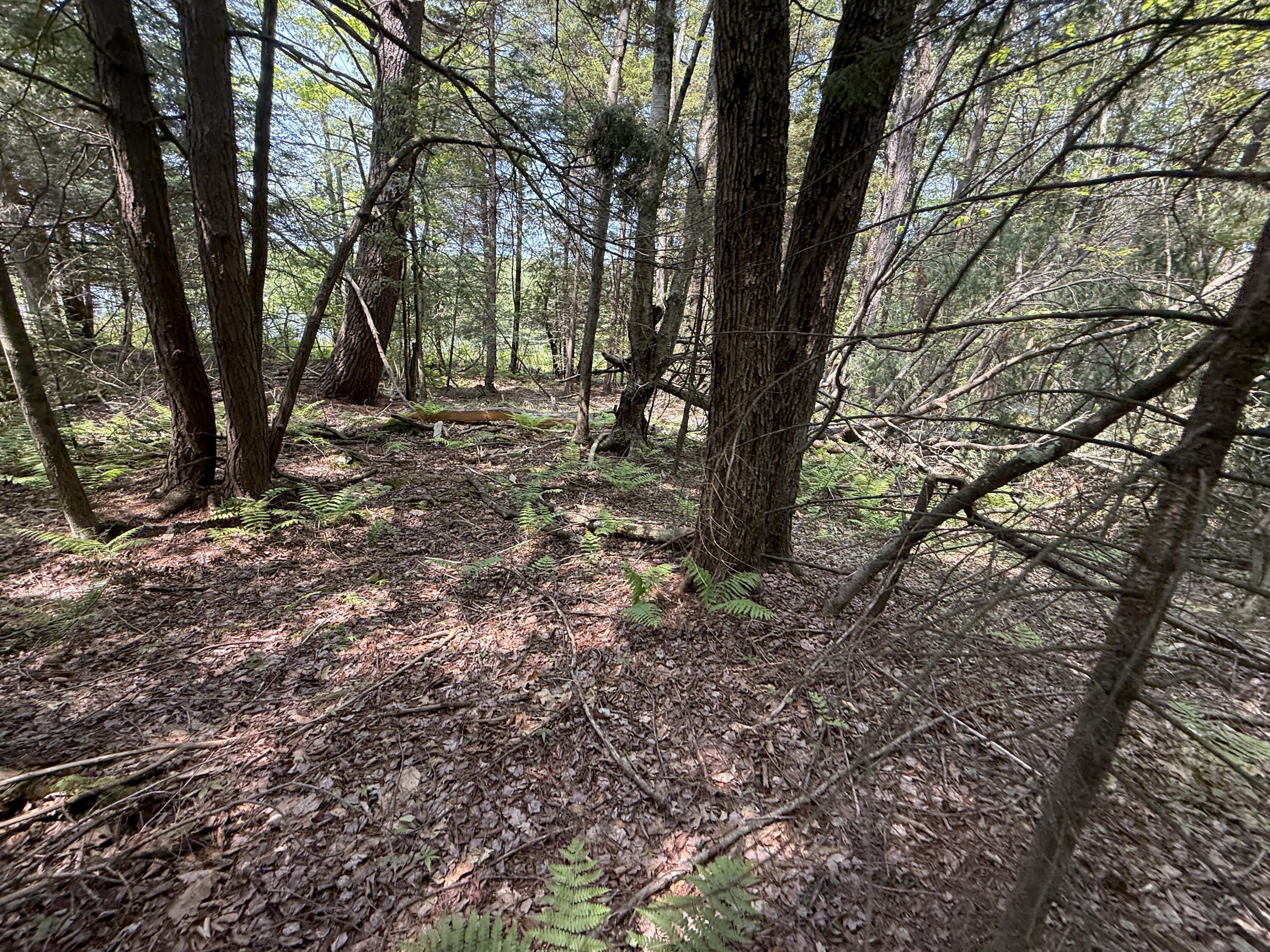 14 Greenwood Drive, Blakeslee, Pennsylvania image 17