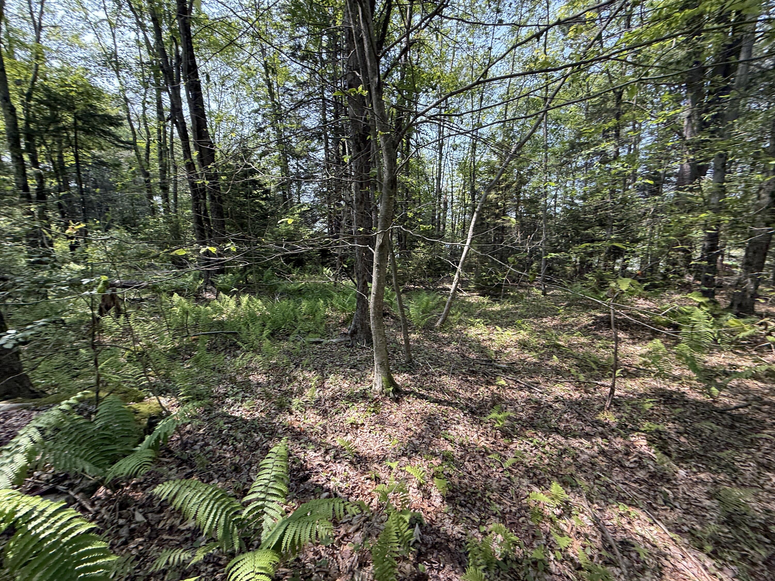14 Greenwood Drive, Blakeslee, Pennsylvania image 15