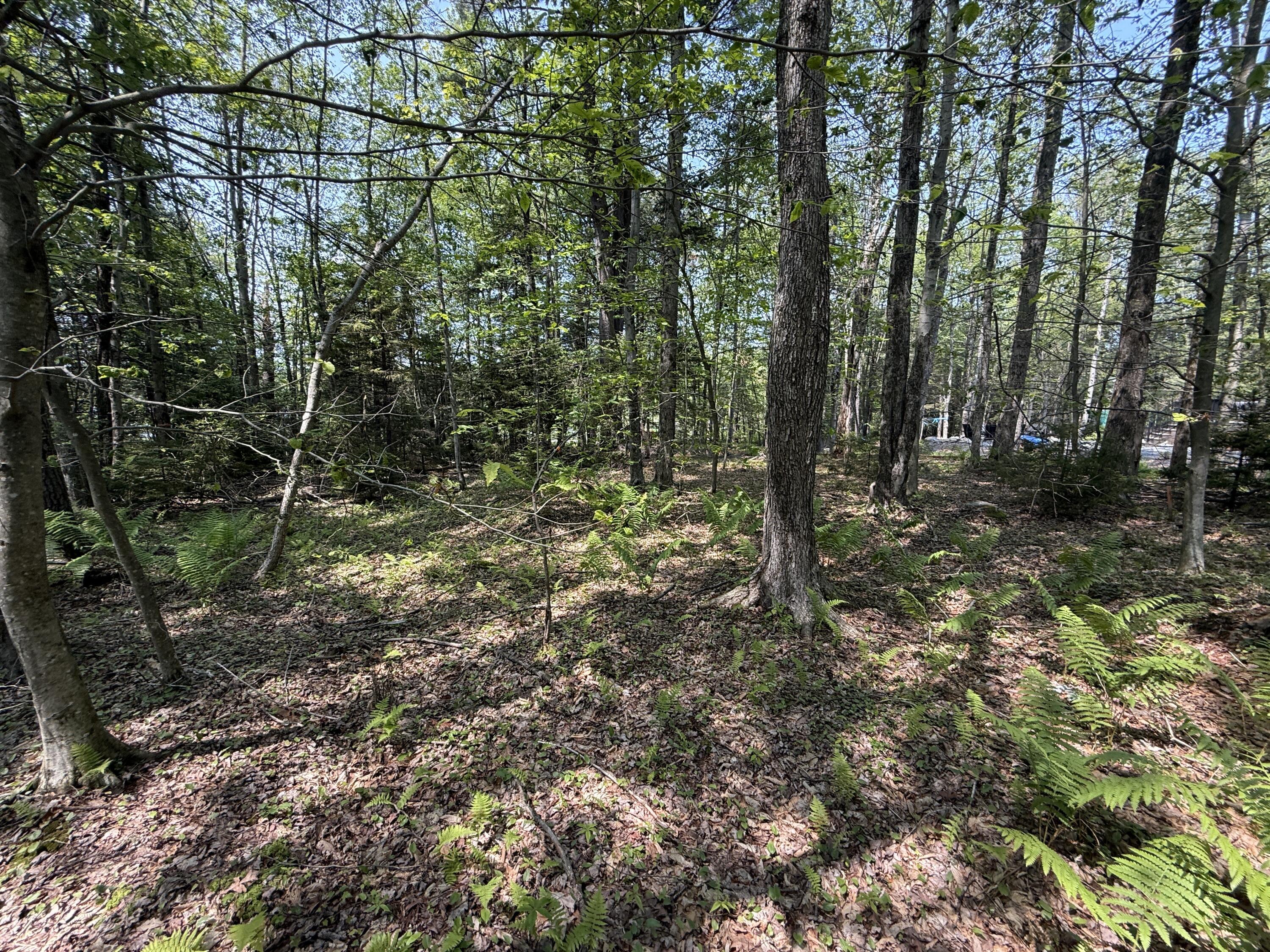 14 Greenwood Drive, Blakeslee, Pennsylvania image 5