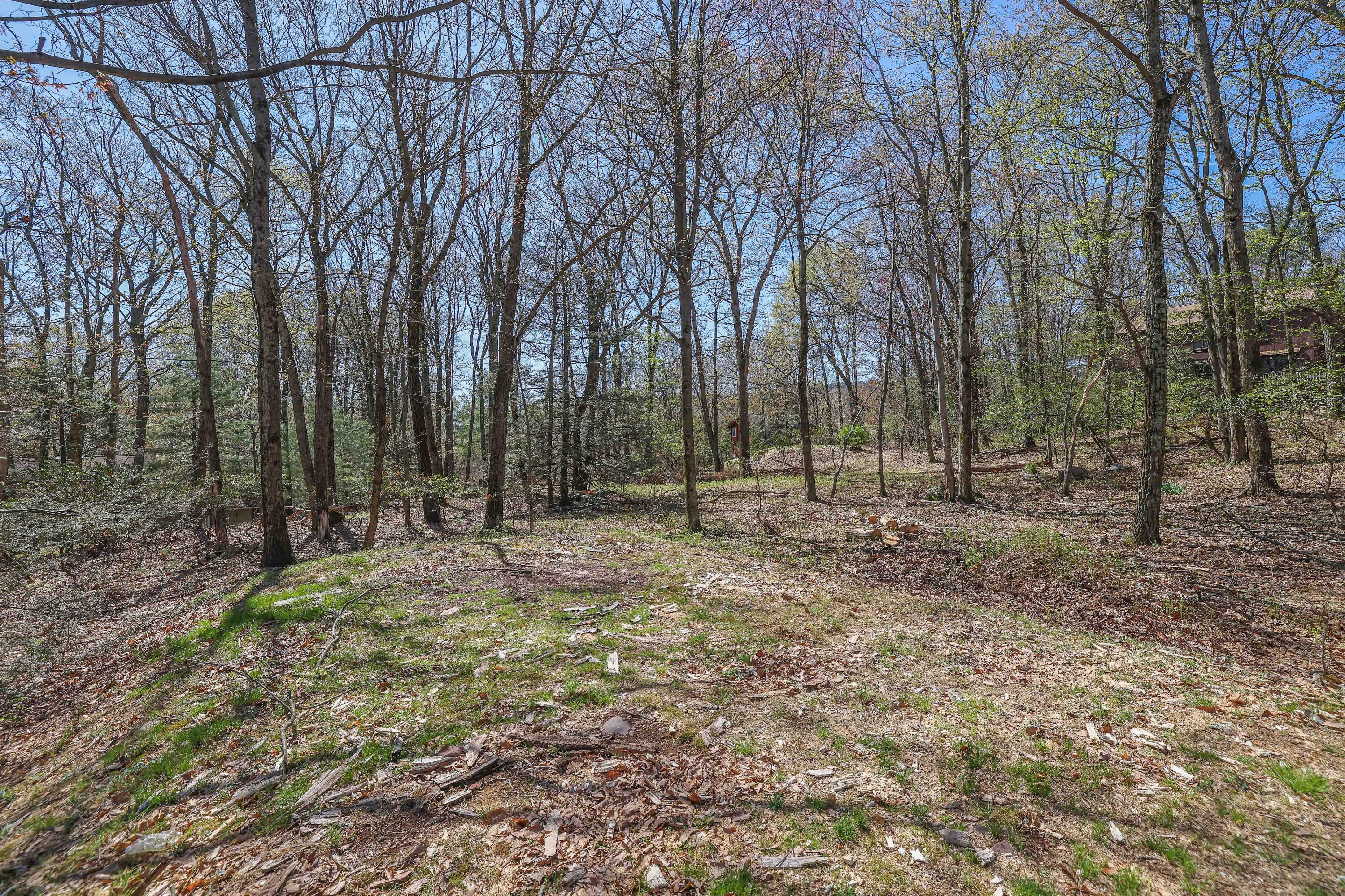 3243 Birch Hill Drive, Tannersville, Pennsylvania image 33