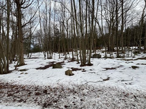 Lots 113/114- Bass Court Canadensis PA 18325