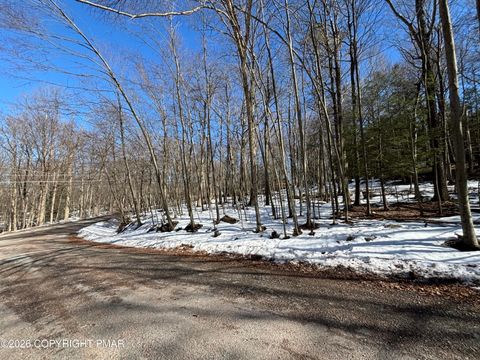 Vacant Land For Sale - LOTS 113/114- Bass Court<br/> Canadensis, PA 18325