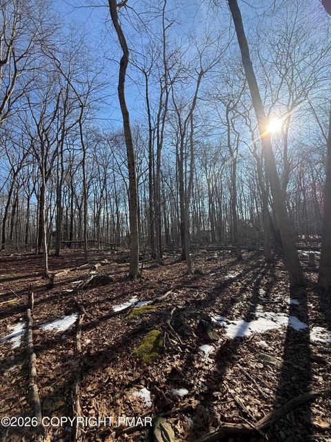 803 Selig Rd Pocono Lake PA 18347