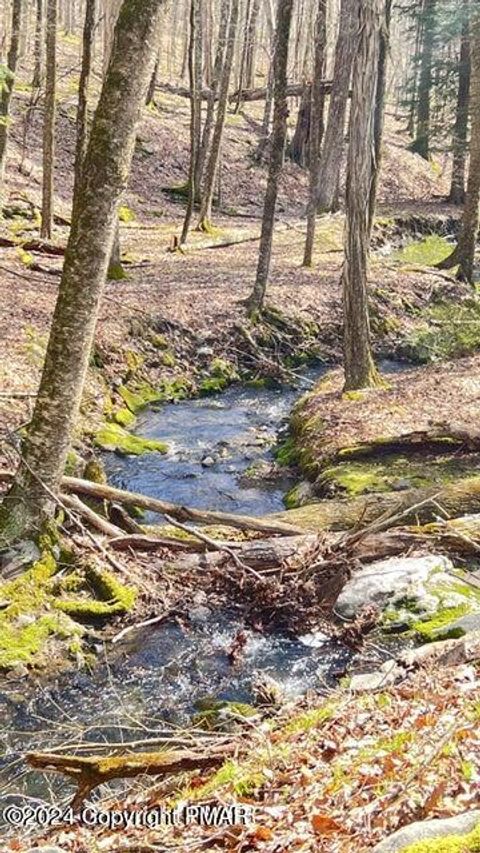 Lot155 Tinkwig Drive Hawley PA 18436