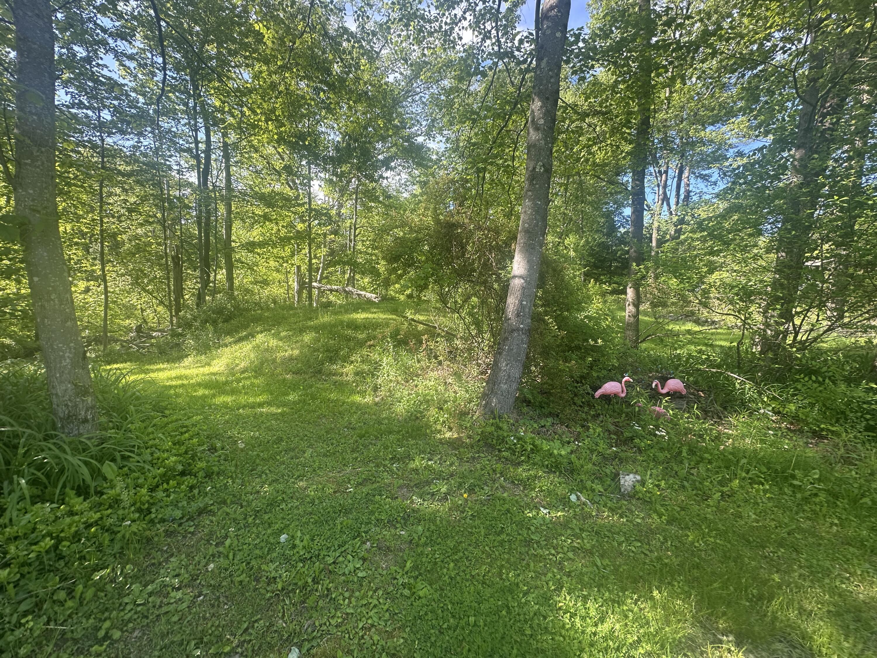 5238 Mountain View Drive, Stroudsburg, Pennsylvania image 37