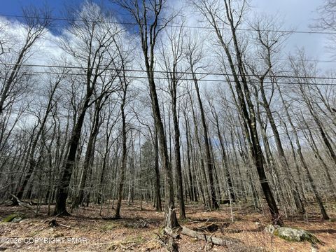 Vacant Land For Sale - 46 Tuscarora Trail<br/> Gouldsboro, PA 18424