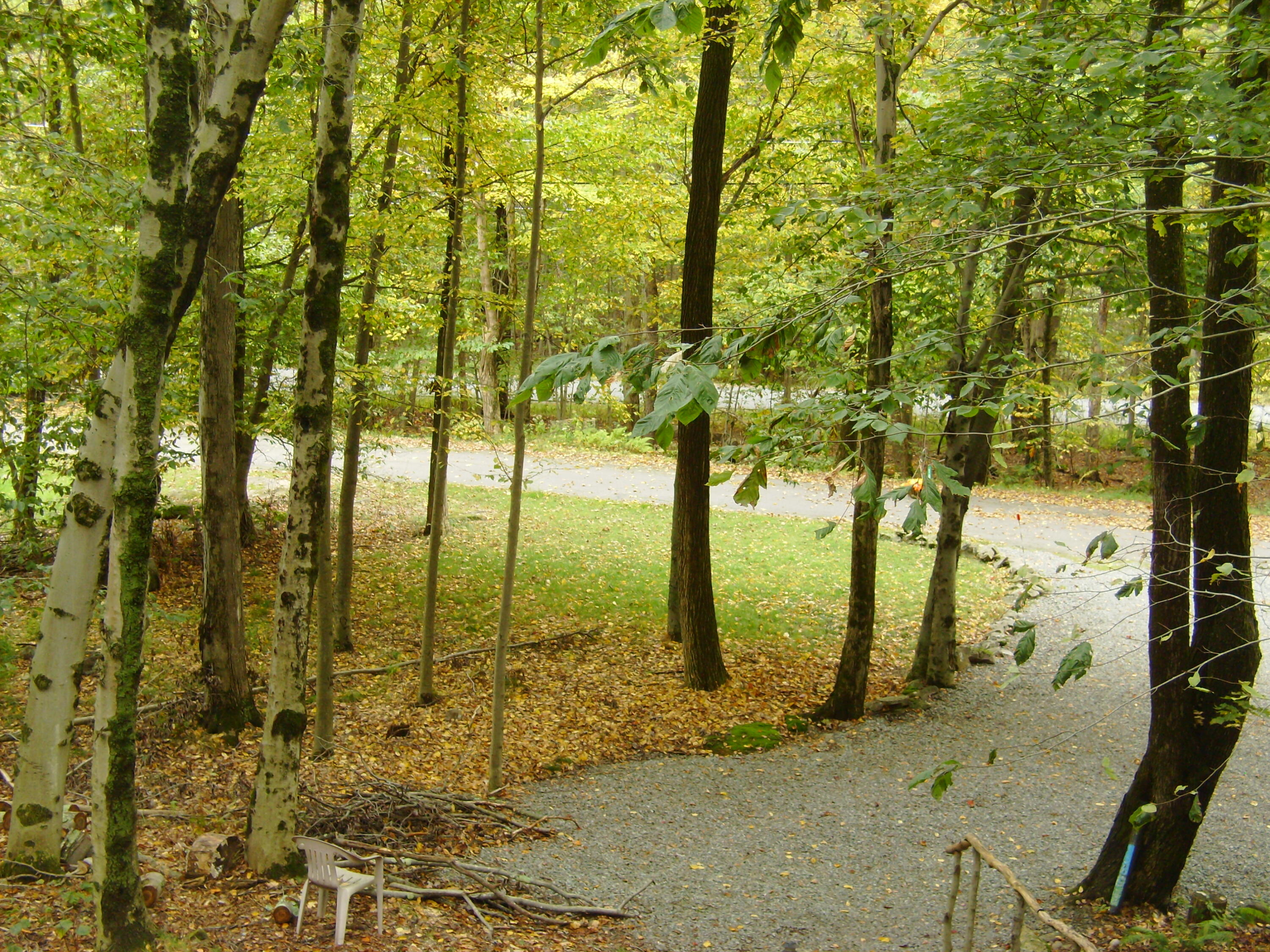 1008 Locust Drive, Newfoundland, Pennsylvania image 23