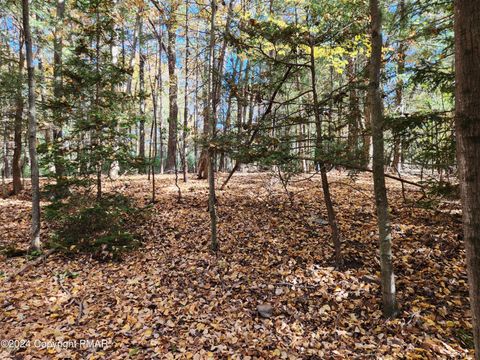 Vacant Land For Sale - Lot 25  Mongul Circle<br/> Henryville, PA 18332
