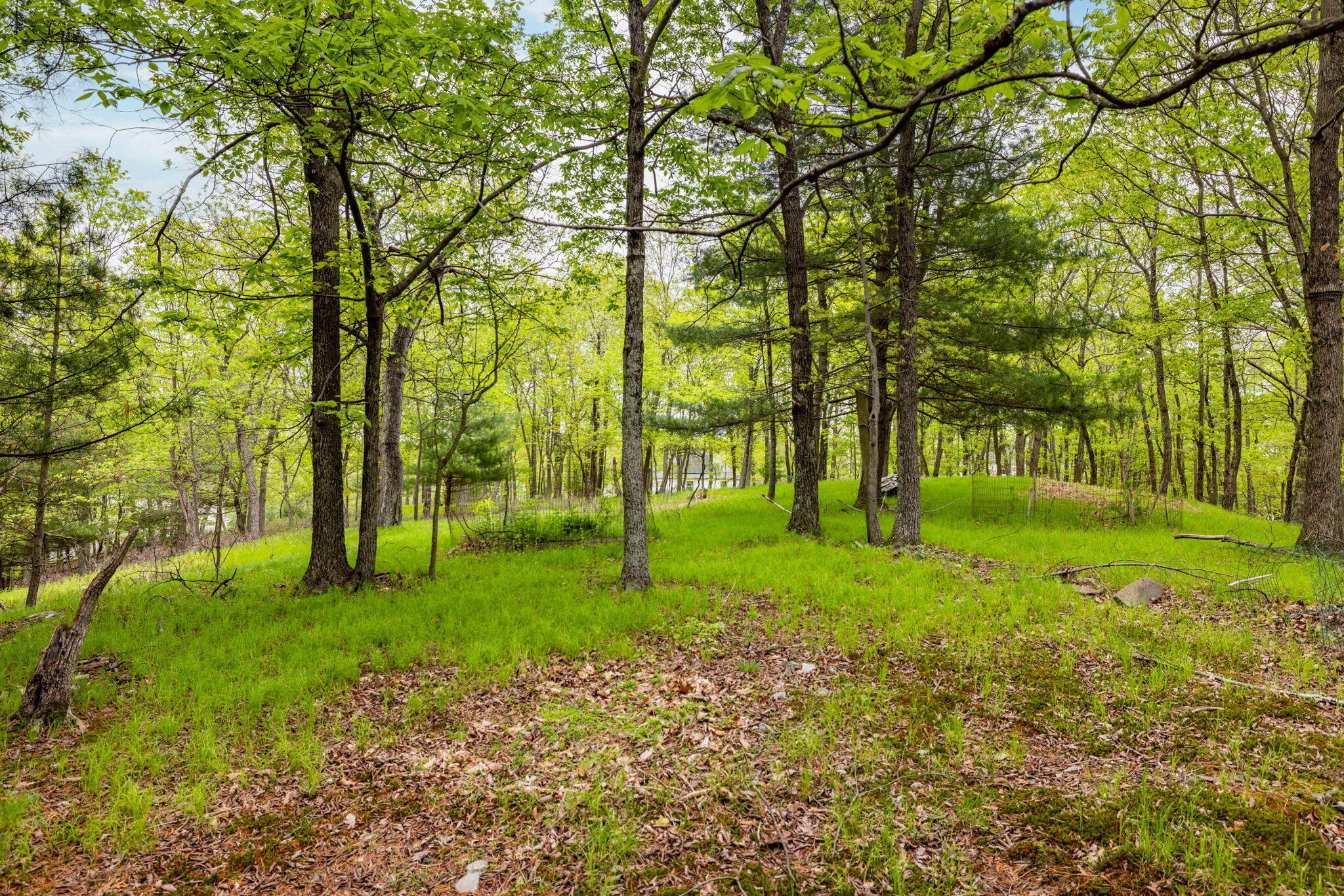 456 Rolling Hill Way, East Stroudsburg, Pennsylvania image 43