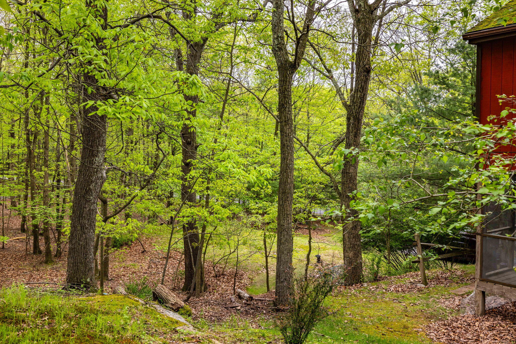 456 Rolling Hill Way, East Stroudsburg, Pennsylvania image 41