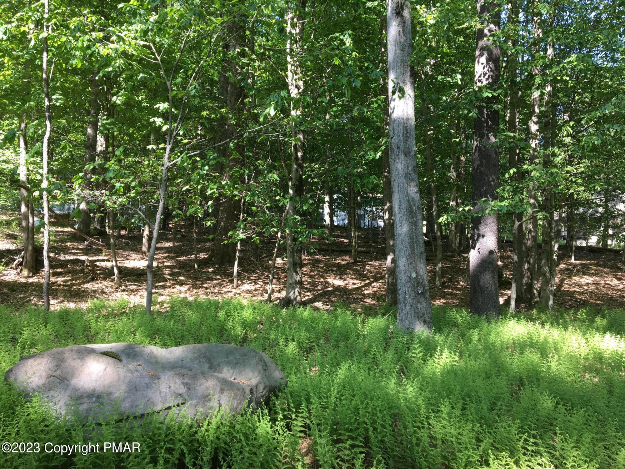 Lot 615 Locust Lane
