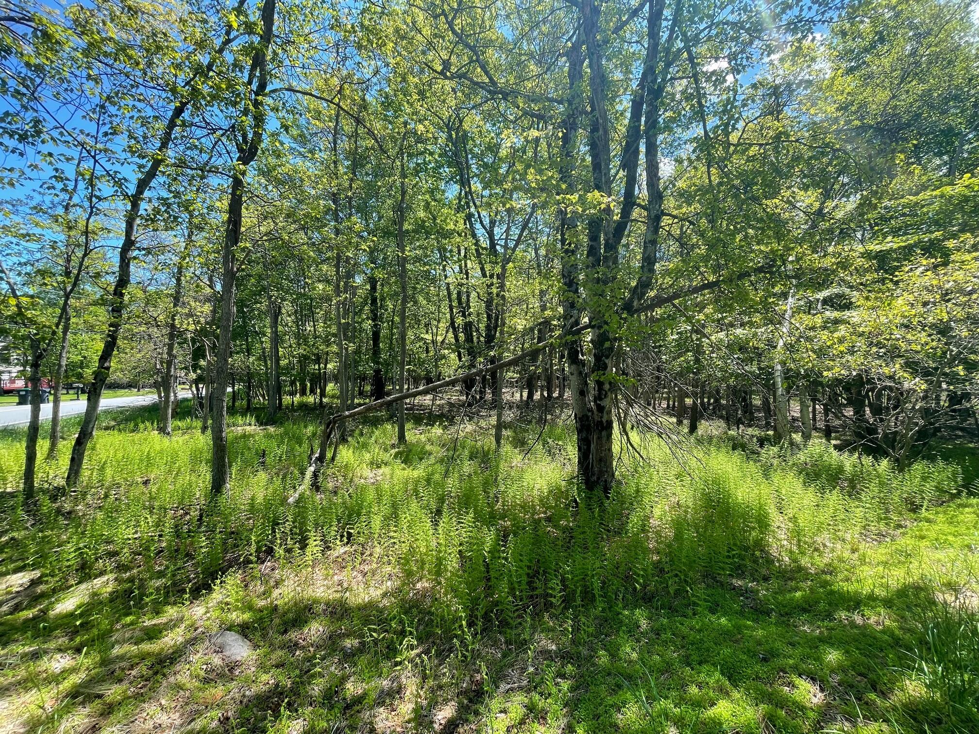 EV804 Stoney Mountain Road & Milton Way, Albrightsville, Pennsylvania image 1