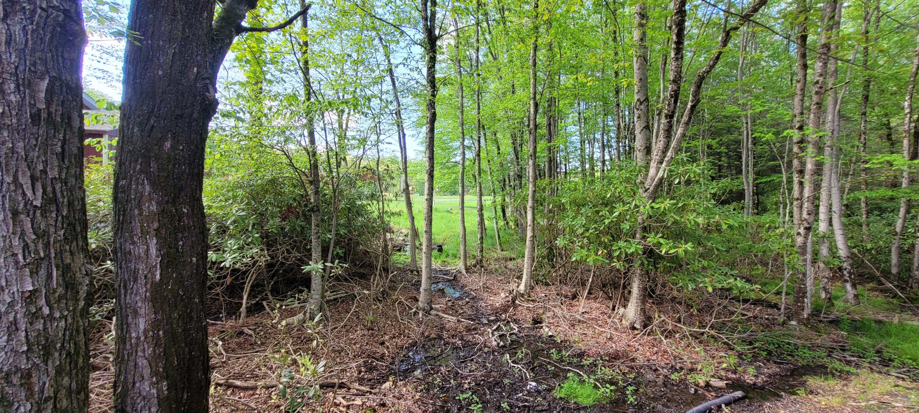 7 Holiday Court, Albrightsville, Pennsylvania image 48