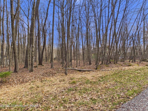 Vacant Land For Sale - Croasdale Ct 22 Court<br/> Pocono Lake, PA 18347