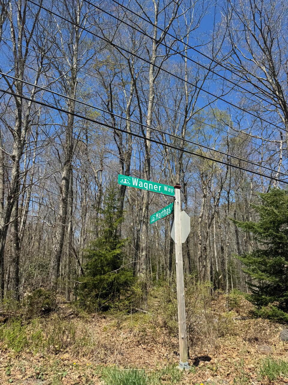 Wagner Way 130, Pocono Lake, Pennsylvania image 2