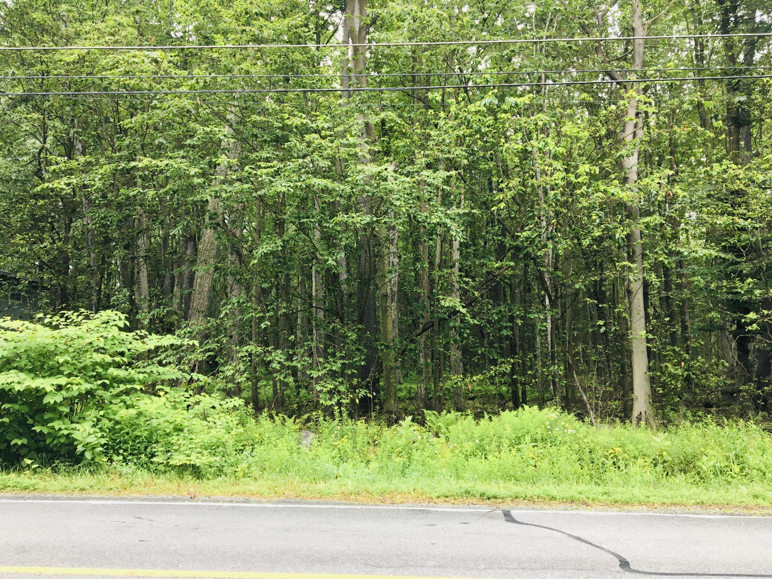 40 Gross Drive