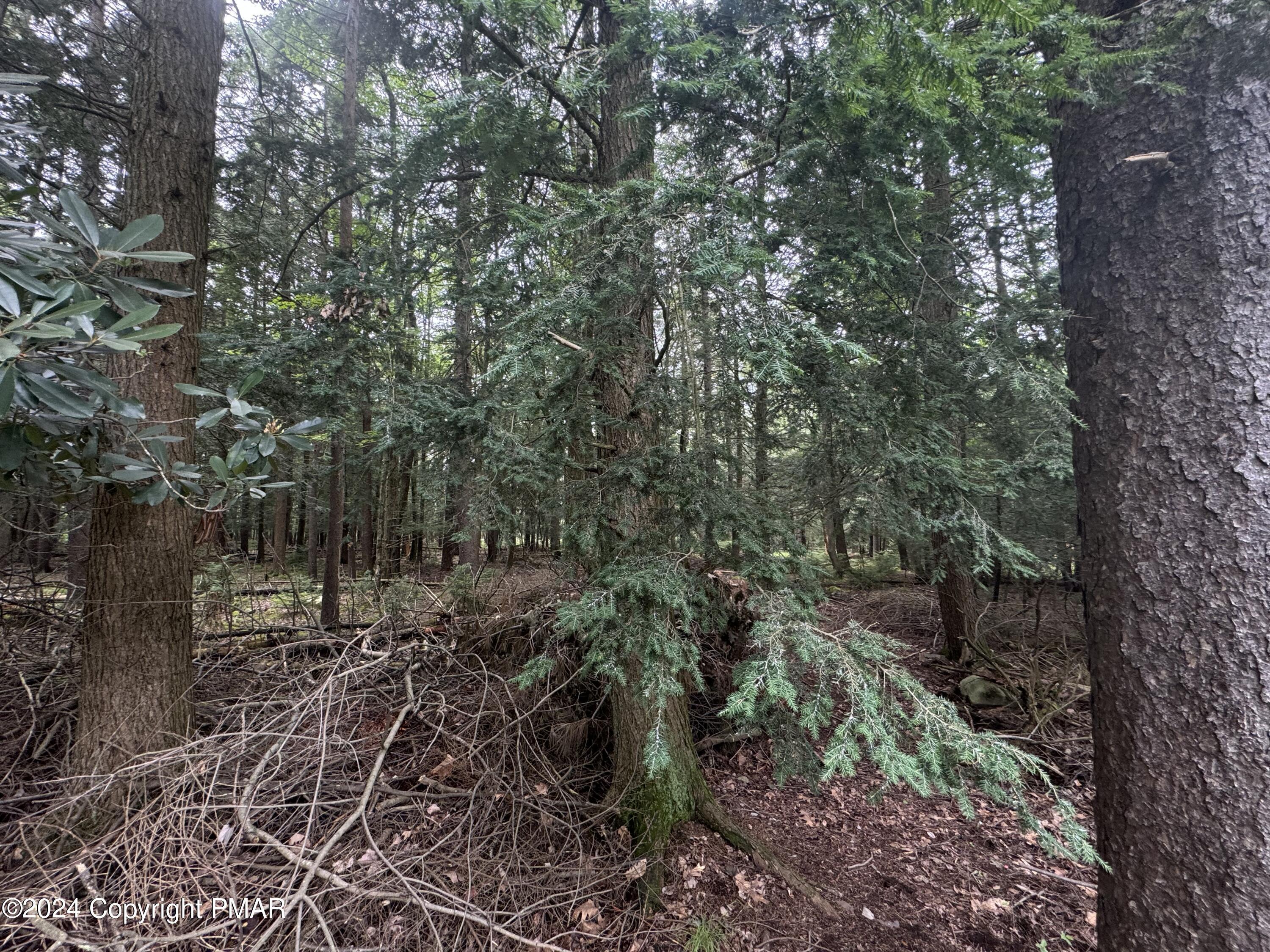 401 Whisper Dr 401 Drive, Pocono Summit, Pennsylvania image 6